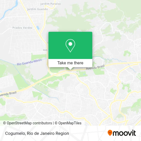 Cogumelo map