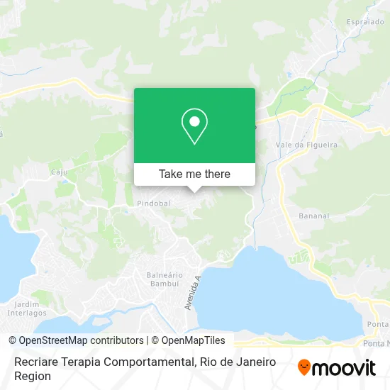 Recriare Terapia Comportamental map