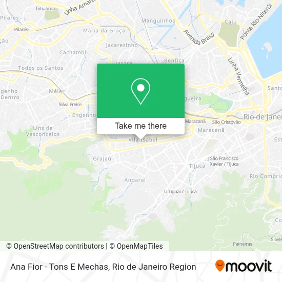 Ana Fior - Tons E Mechas map