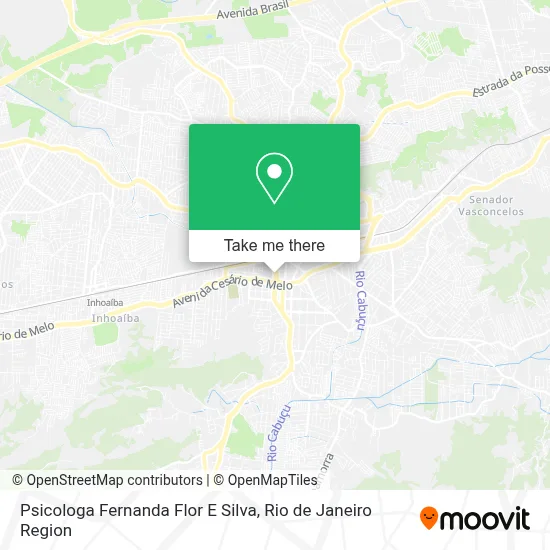 Psicologa Fernanda Flor E Silva map