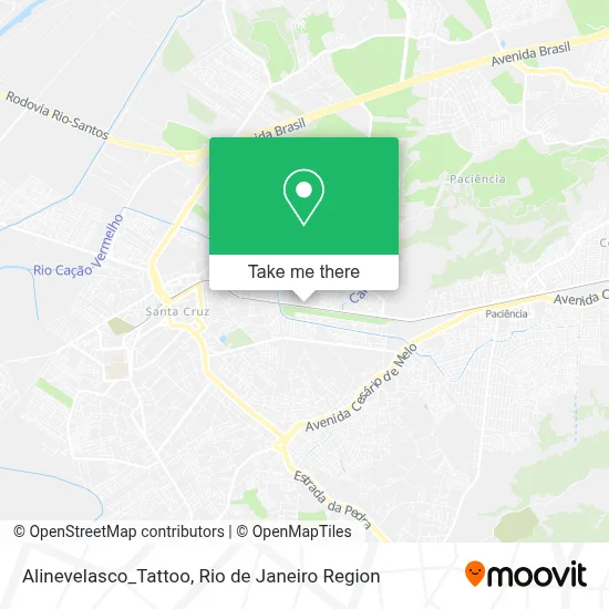 Alinevelasco_Tattoo map