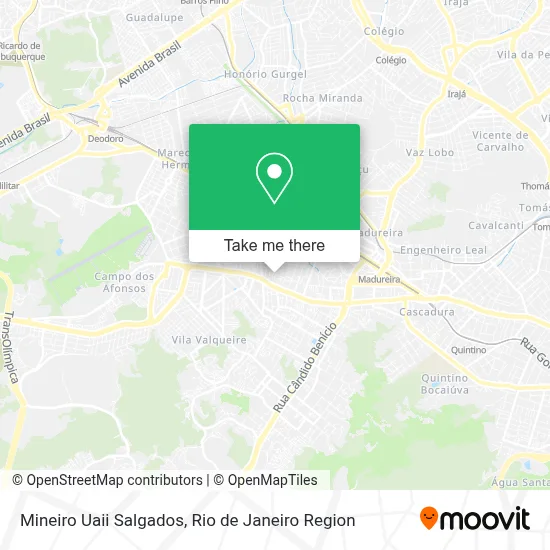 Mineiro Uaii Salgados map