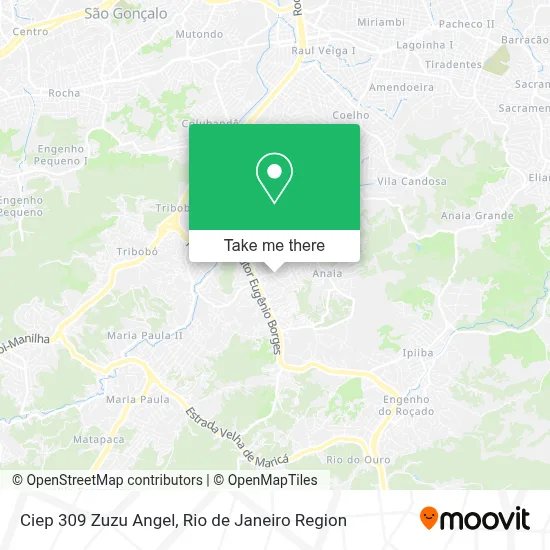 Ciep 309 Zuzu Angel map