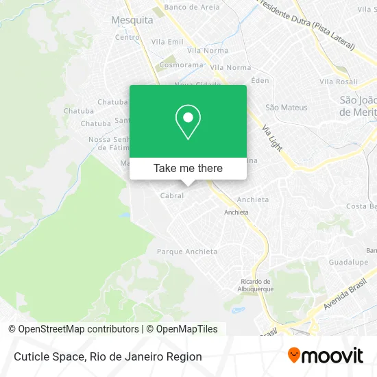 Cuticle Space map