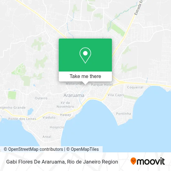 Gabi Flores De Araruama map