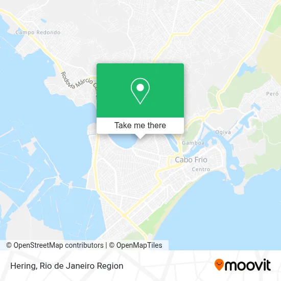 Hering map