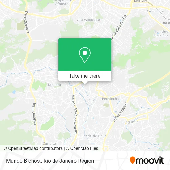 Mundo Bichos. map