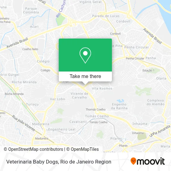 Veterinaria Baby Dogs map
