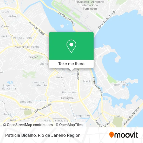 Patricia Bicalho map