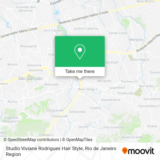 Studio Viviane Rodrigues Hair Style map