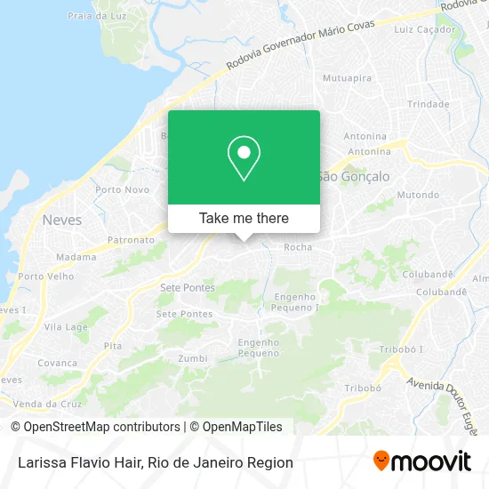 Larissa Flavio Hair map