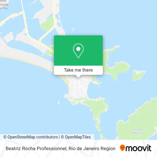 Beatriz Rocha Professionnel map