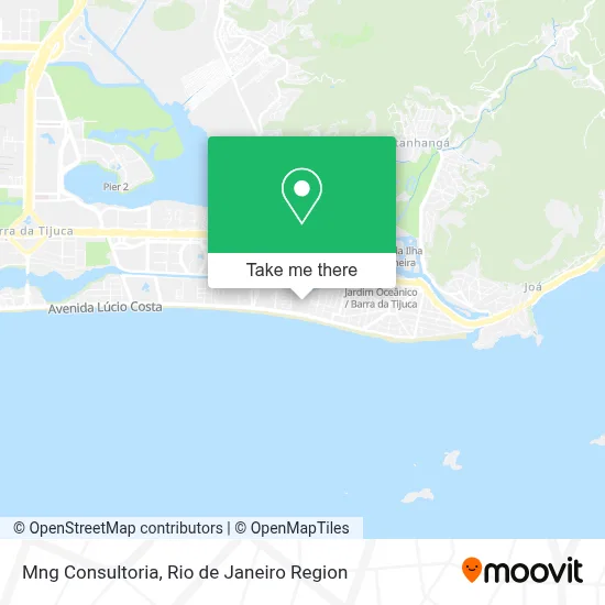 Mng Consultoria map