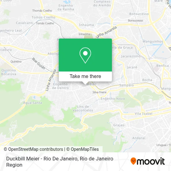 Duckbill Meier - Rio De Janeiro map