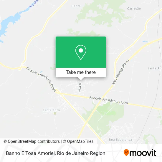 Banho E Tosa Amoriel map