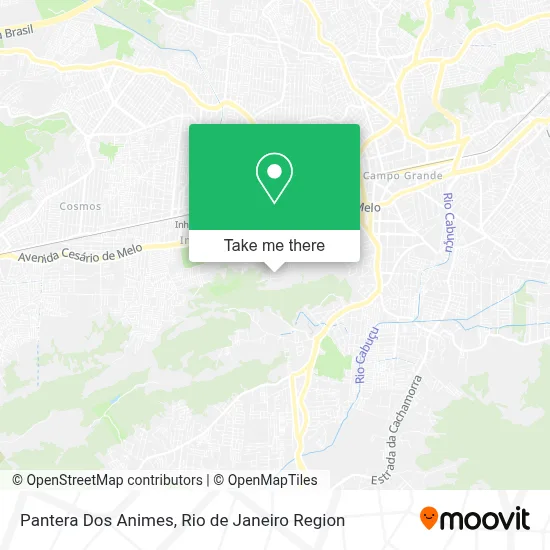 Pantera Dos Animes map