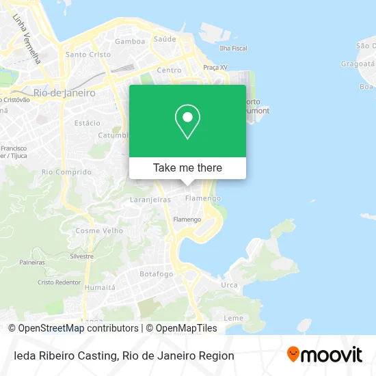 Ieda Ribeiro Casting map