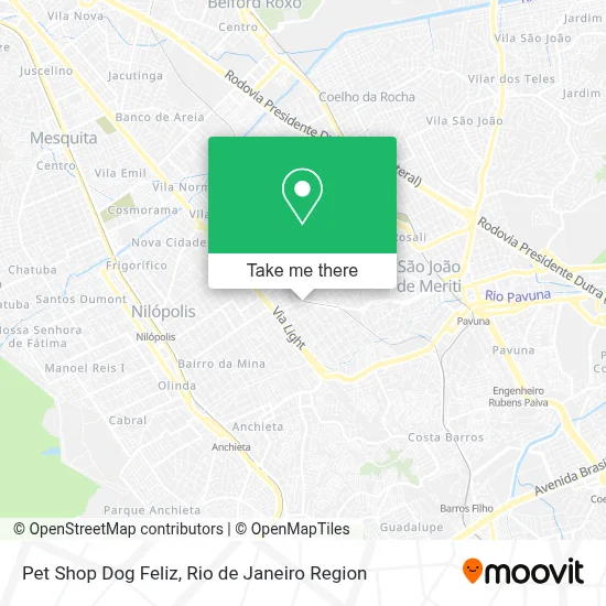 Pet Shop Dog Feliz map