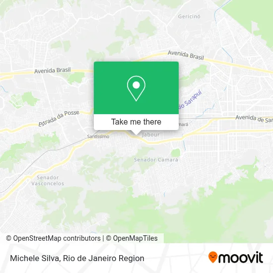 Michele Silva map