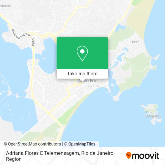 Adriana Flores E Telemensagem map