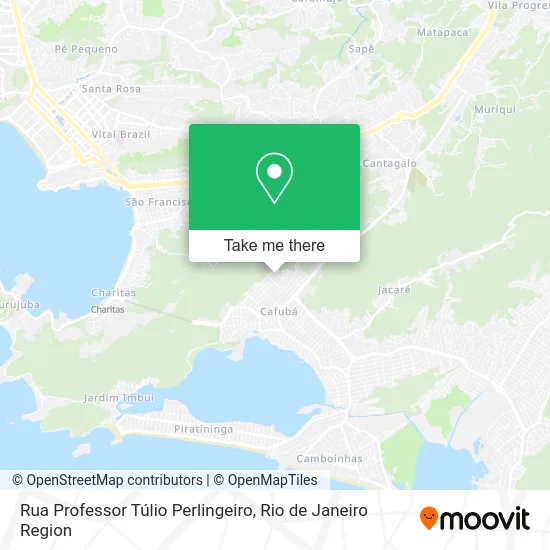Rua Professor Túlio Perlingeiro map