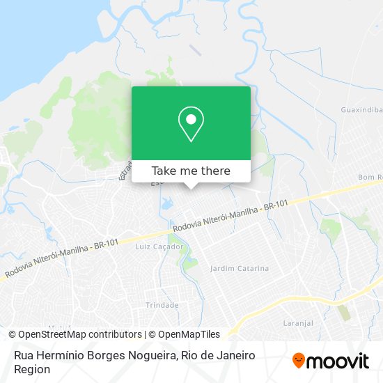 Rua Hermínio Borges Nogueira map