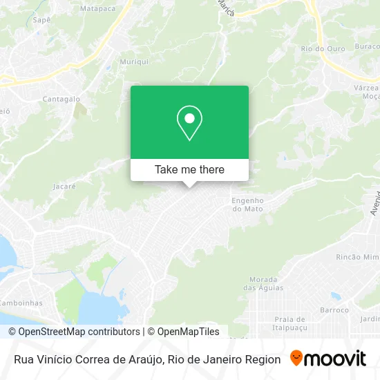 Rua Vinício Correa de Araújo map