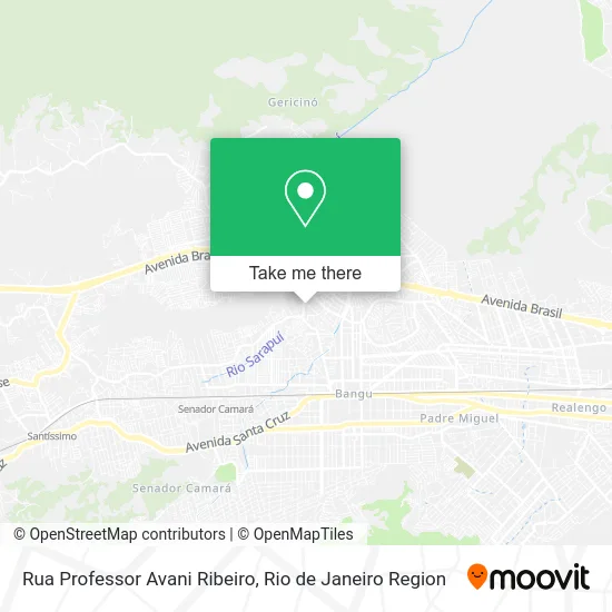 Rua Professor Avani Ribeiro map