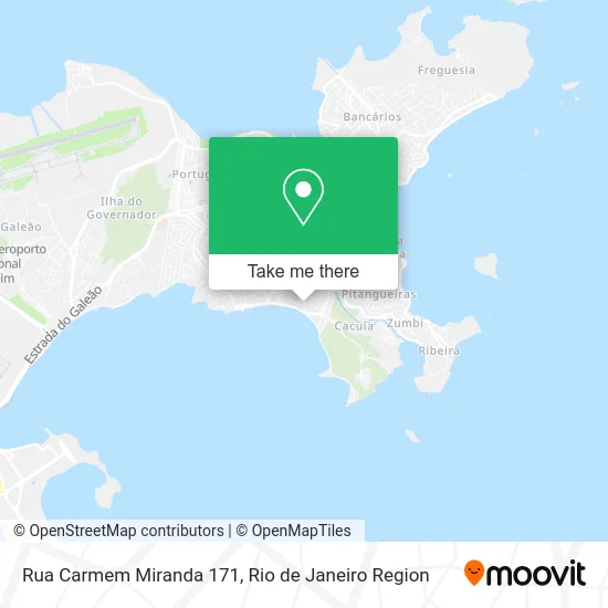 Rua Carmem Miranda 171 map