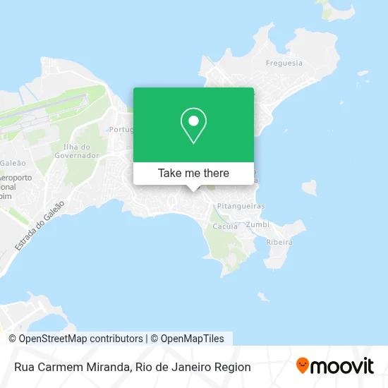 Rua Carmem Miranda map