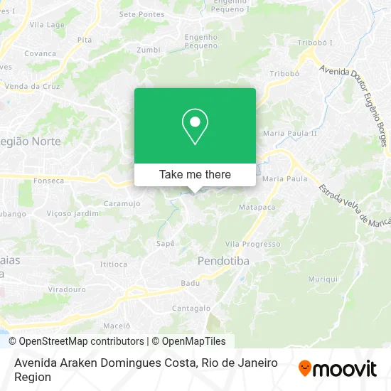 Avenida Araken Domingues Costa map