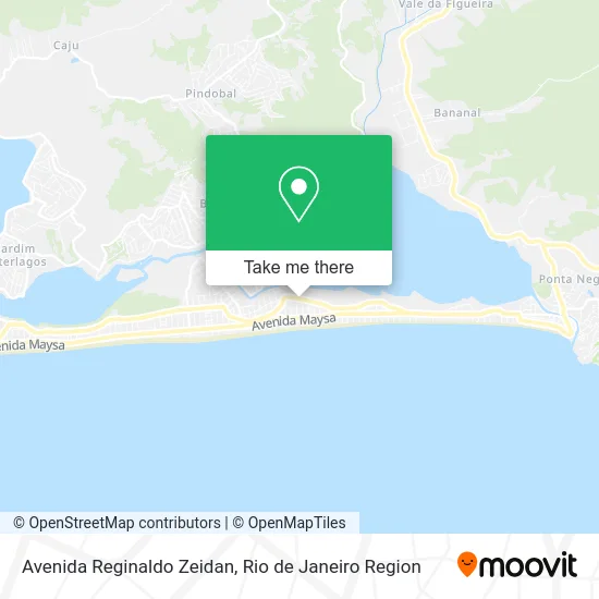 Avenida Reginaldo Zeidan map