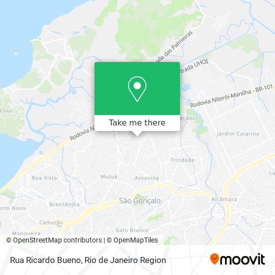 Rua Ricardo Bueno map