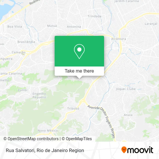 Rua Salvatori map