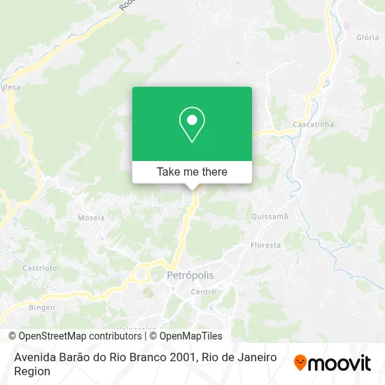 Avenida Barão do Rio Branco 2001 map