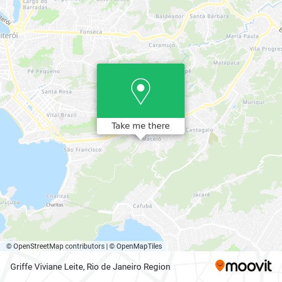 Griffe Viviane Leite map