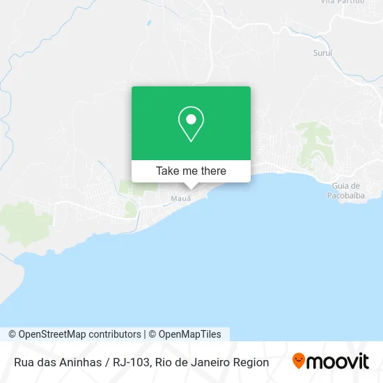 Rua das Aninhas / RJ-103 map