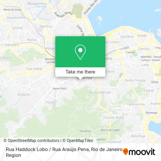 Rua Haddock Lobo / Rua Araújo Pena map