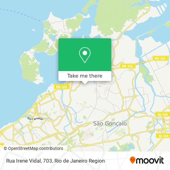 Mapa Rua Irene Vidal, 703