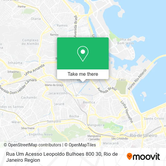 Rua Um Acesso Leopoldo Bulhoes 800 30 map