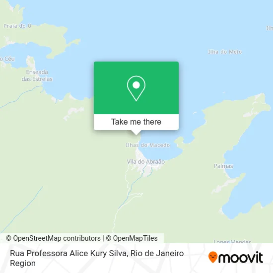 Rua Professora Alice Kury Silva map