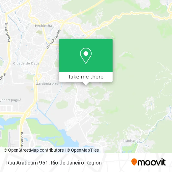 Rua Araticum 951 map