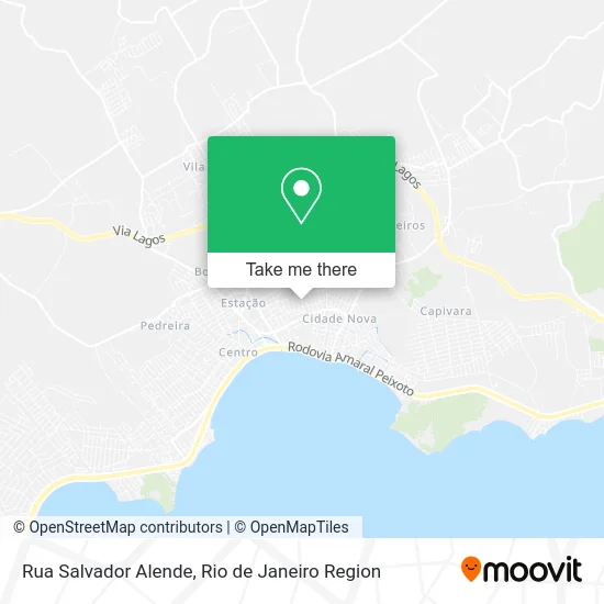 Rua Salvador Alende map