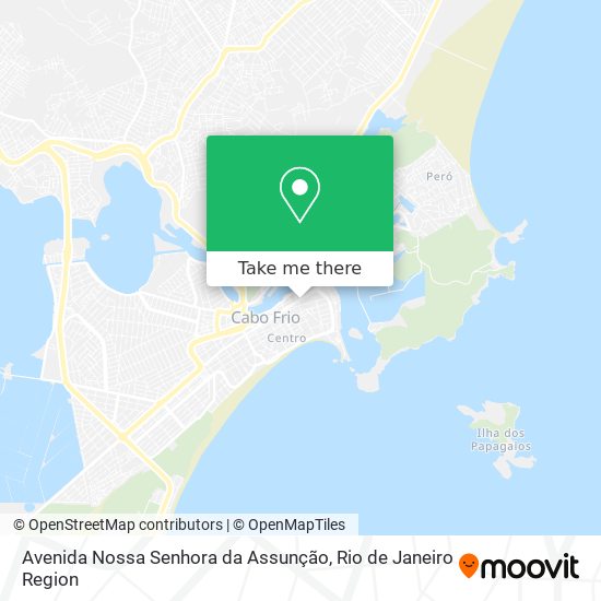 Avenida Nossa Senhora da Assunção map