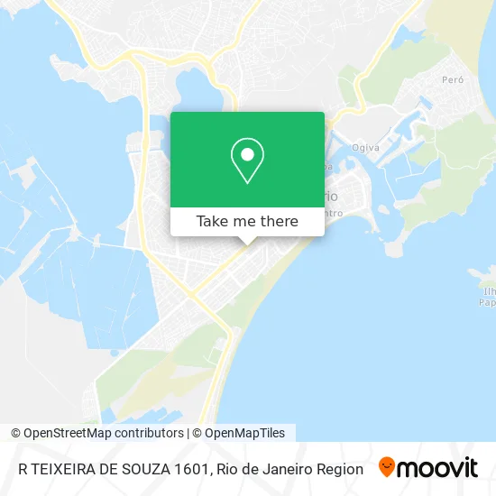 R TEIXEIRA DE SOUZA 1601 map