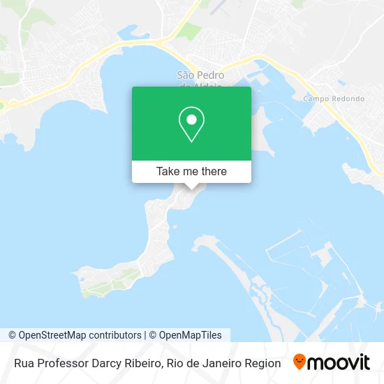 Rua Professor Darcy Ribeiro map