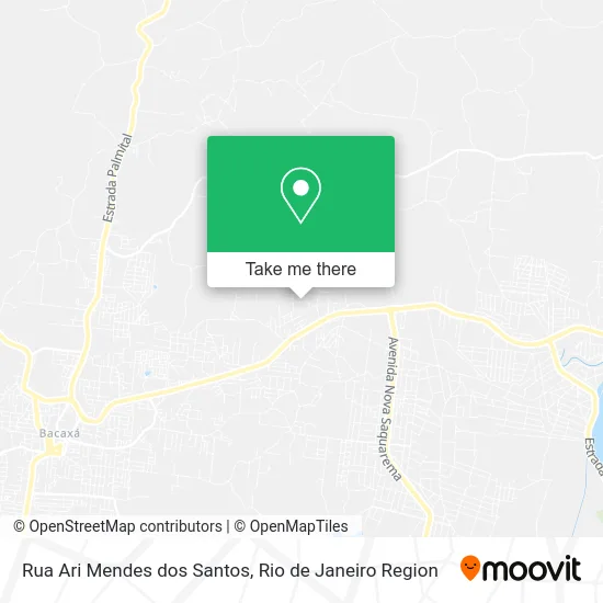 Rua Ari Mendes dos Santos map
