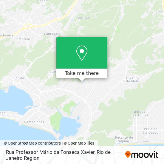Rua Professor Mário da Fonseca Xavier map