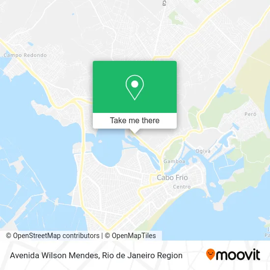 Avenida Wilson Mendes map