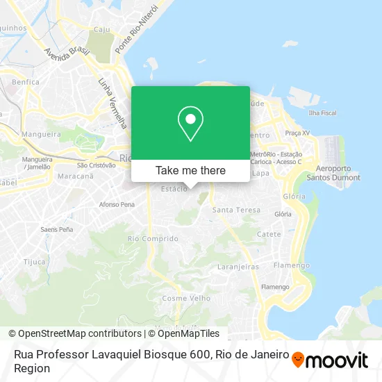 Rua Professor Lavaquiel Biosque 600 map